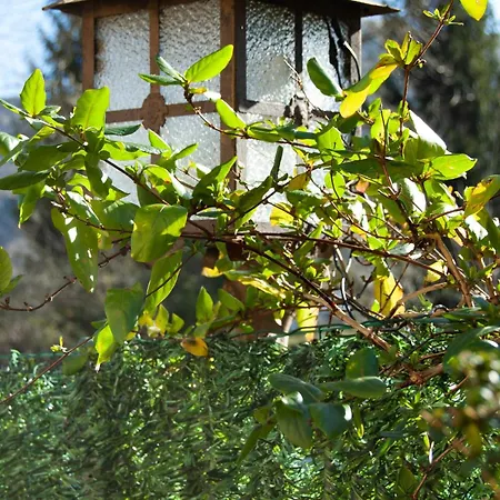 Casa En Termal Caldas *
