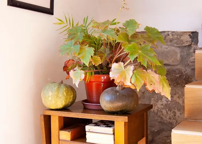 Casa En Termal Caldas Сasa de vacaciones