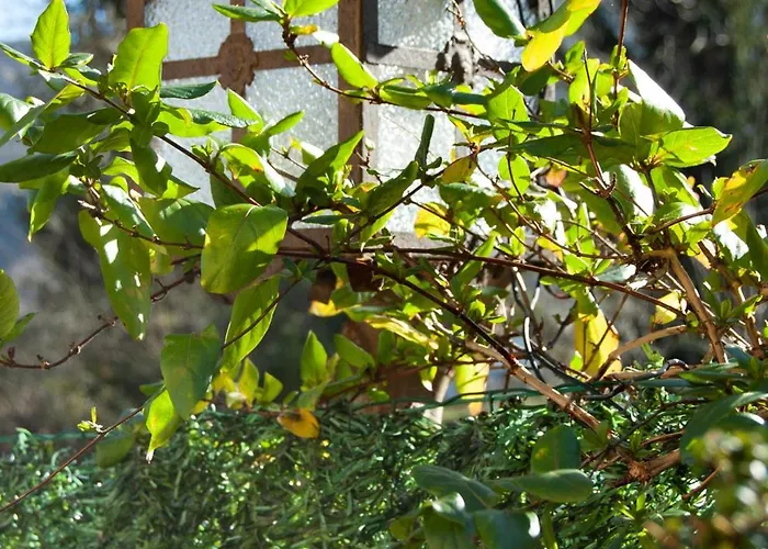 Casa En Termal Caldas *